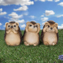 Three Wise Hedgehog Figurines Hedgehogs 9cm 12