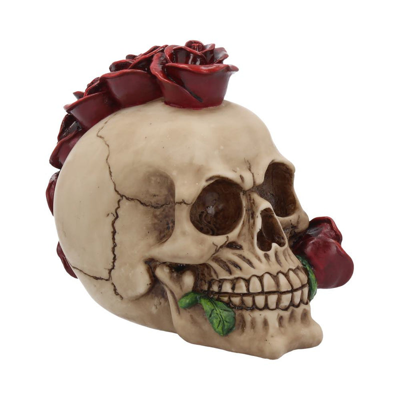 Rosehawk Skull 16cm