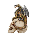 Dragons Grasp Steampunk Skull and Dragon 18.5cm 2