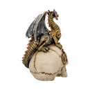 Dragons Grasp Steampunk Skull and Dragon 18.5cm 4
