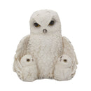 Feathered Family Beautiful Snowy Owl Trio 21.5cm