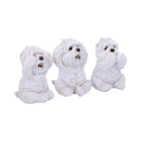 Three Wise Westies 8cm Resin Figures 3