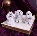 Three Wise Westies 8cm Resin Figures 6