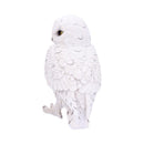Snowy Watch Large White Owl Ornament 20cm 2