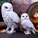 Snowy Watch Large White Owl Ornament 20cm 5