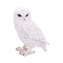 Snowy Watch Large White Owl Ornament 20cm