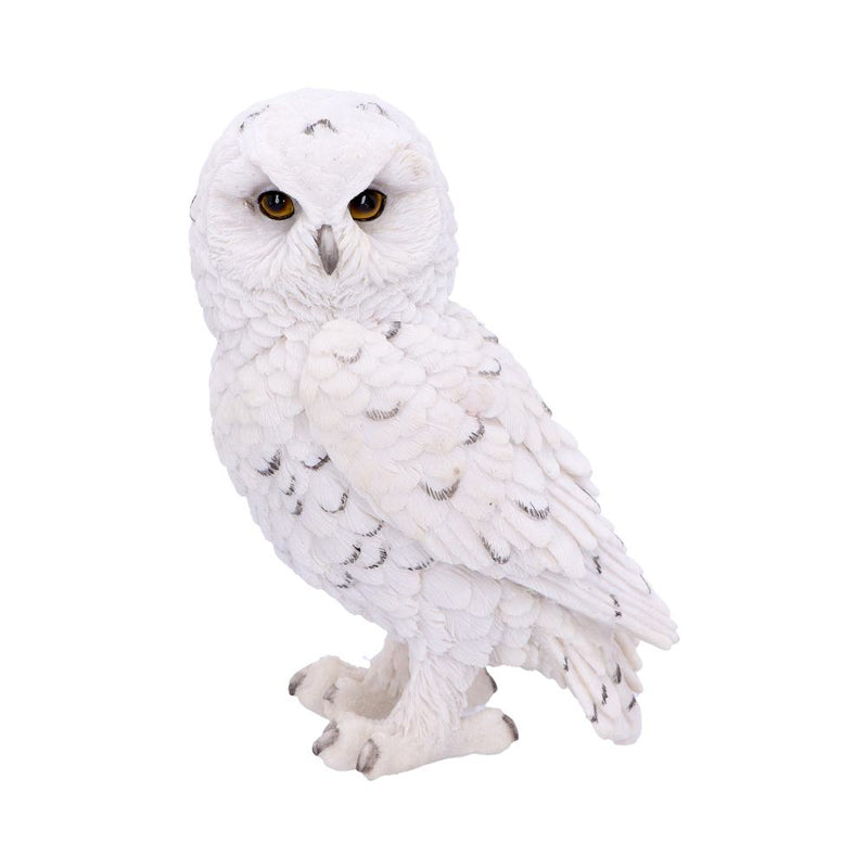 Snowy Watch Small White Owl Ornament 13.3cm