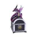 Reptilian Riches Dragon Sitting on a Treasure Chest Storage Box 15cm 2