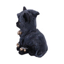 Reapers Feline Cloaked Grim Reaper Cat Figurine 16cm 2