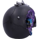 Crystal Cave Small Dragon Hiding within a Skull 16.5cm 5