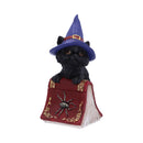 Hocus Small Witches Familiar Black Cat and Spellbook Figurine 12.7cm