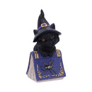 Pocus Small Witches Familiar Black Cat and Spellbook Figurine 12.7cm