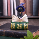 Binx Small Witches Familiar Black Cat and Spellbook Figurine Box 11cm Hocus Pocus Feline 7