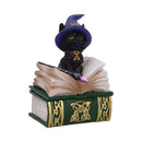 Binx Small Witches Familiar Black Cat and Spellbook Figurine Box 11cm