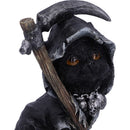 Amara Grim Reaper Fline Cat Figurine 10.2cm 5