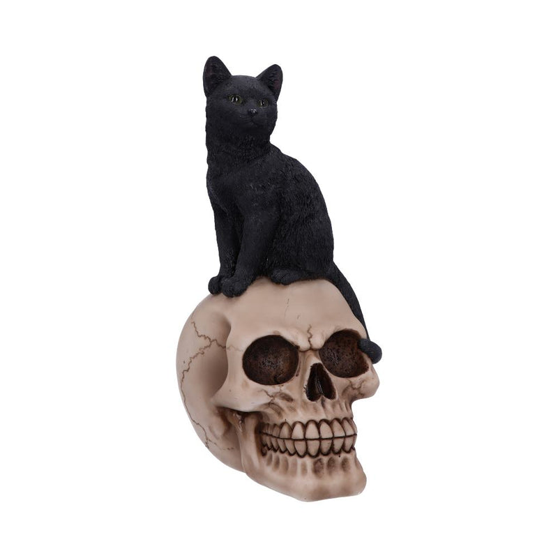 Familiar Fate 243cm Black Witches Cat and Skull Figurine