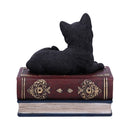 Salems Spells Witches Familiar Black Cat and Spellbook Box 11.7cm 4