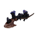Purrfect Broomstick Witches Familiar Black Cats and Figurine 27.5cm 4