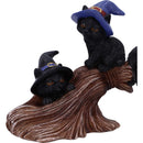Purrfect Broomstick Witches Familiar Black Cats and Figurine 27.5cm 5