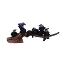 Purrfect Broomstick Witches Familiar Black Cats and Figurine 27.5cm