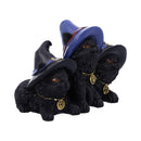 Familiar Felines Black Cats in Witches Hats Figurine 9.8cm 4