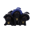 Familiar Felines Black Cats in Witches Hats Figurine 9.8cm