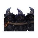 Witches Helpers Key Hanger 20cm 4