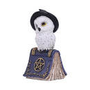 Avian Spell Blue Owl Witch Familiar Figure 12.5cm 2