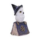 Avian Spell Blue Owl Witch Familiar Figure 12.5cm 4