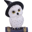 Avian Spell Blue Owl Witch Familiar Figure 12.5cm 5