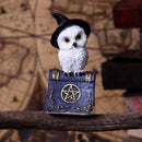 Avian Spell Blue Owl Witch Familiar Figure 12.5cm 7