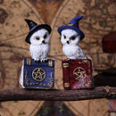 Avian Spell Blue Owl Witch Familiar Figure 12.5cm 8