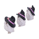 Three Wise Feathered Familiars Owl Figures 9cm 2
