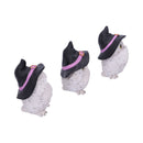 Three Wise Feathered Familiars Owl Figures 9cm 4