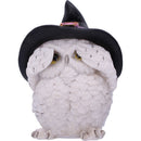 Three Wise Feathered Familiars Owl Figures 9cm 5