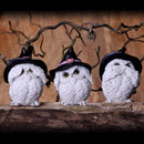 Three Wise Feathered Familiars Owl Figures 9cm 7