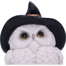 Snowy Spells Owl Figurine 9cm 5