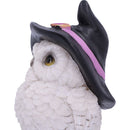 Snowy Spells Owl Figurine 9cm 6