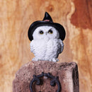 Snowy Spells Owl Figurine 9cm 7