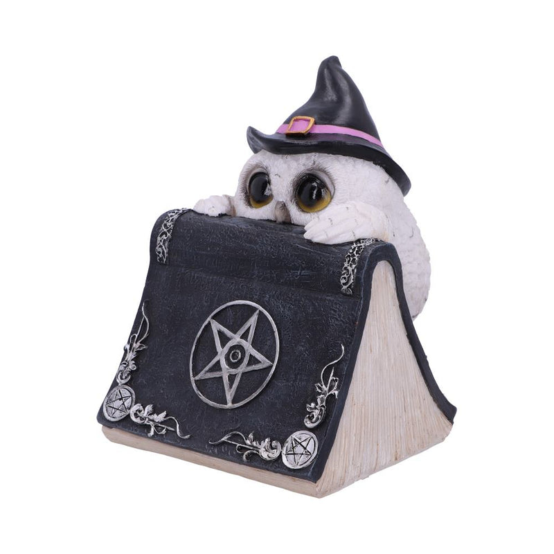 Owl with book Figurine 15cm Owls Spell