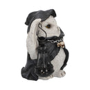 Reapers Flight Lantern Grim Reaper Owl Figurine 17cm 4