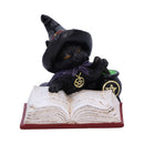 Familiars Brew Black Cat Ornament Familiars 8.5cm
