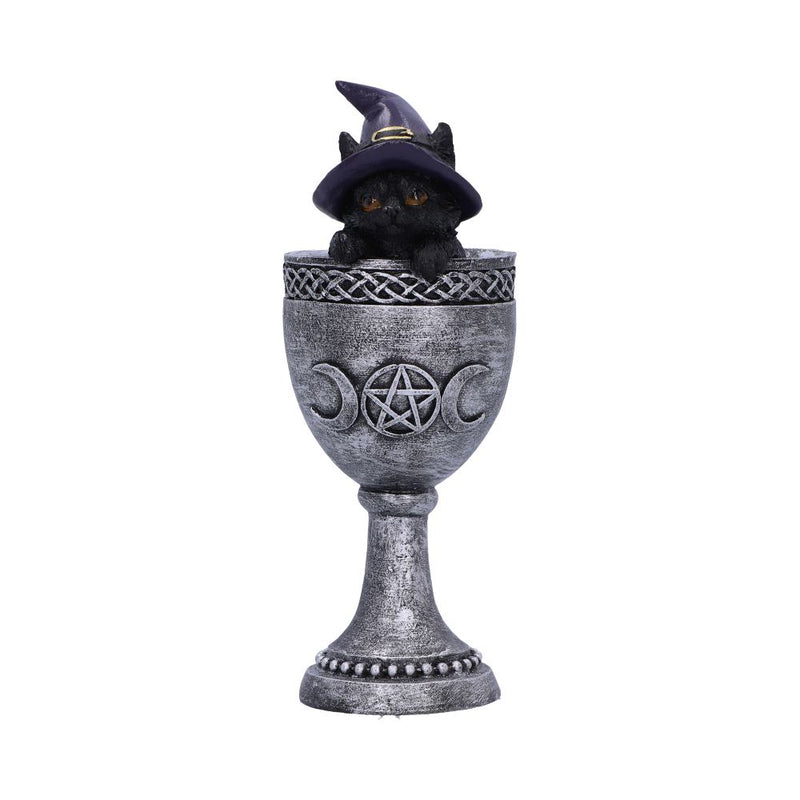 Coven Cup Black Cat Ornament 157cm