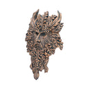 Bronze Spirit of the Ents Hanging Wall Plaque 20cm 2