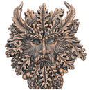 Bronze Spirit of the Ents Hanging Wall Plaque 20cm 5
