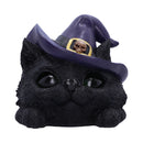 Familiar Grin Black Cat Head With Light Up Eyes 13.8cm