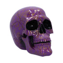 Violet Elegance Skull 185cm