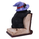 Peekaboo Witch Cat Bookend Peek-a-Boo 20cm 4