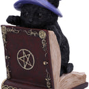Peekaboo Witch Cat Bookend Peek-a-Boo 20cm 6