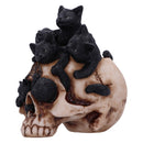 Cranial Litter Skull 14cm Resin Statue 3